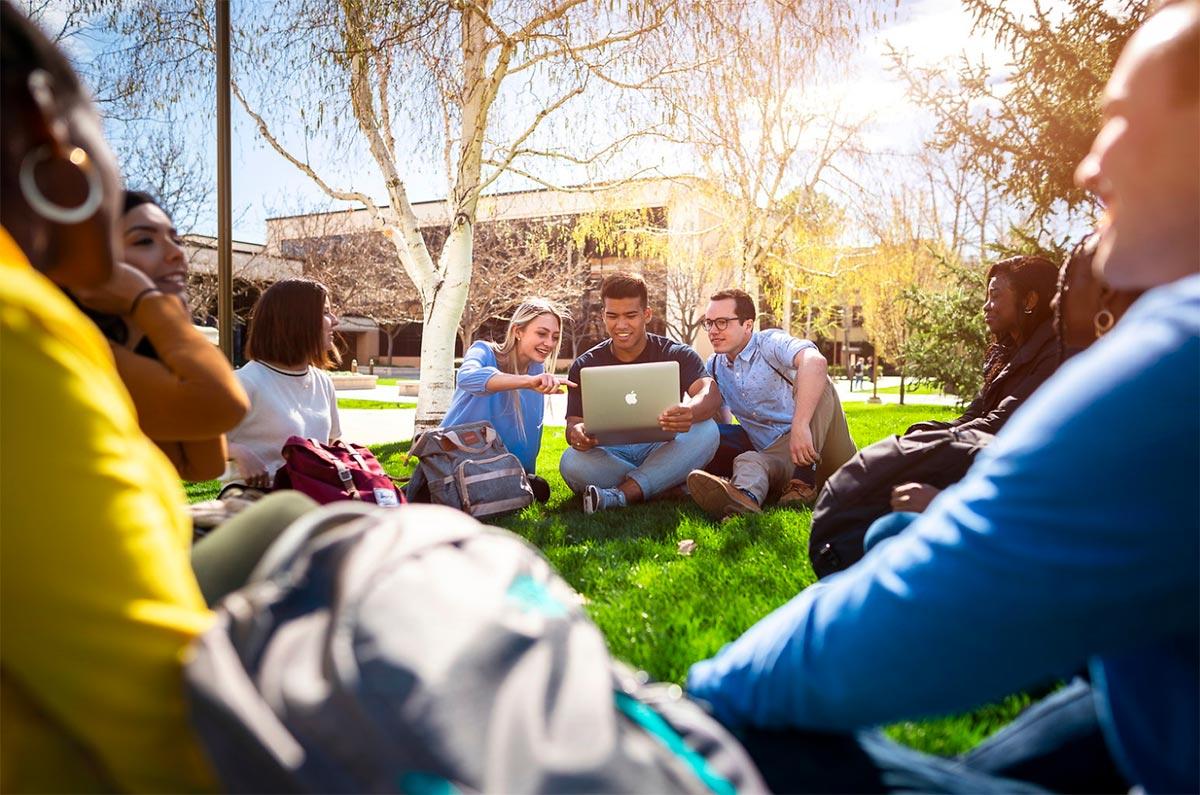 Students outdoor study session